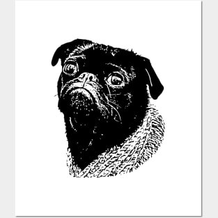 Dog, Animals, Pet, Pug, Puppies, Funny, Knit, Doggy, Portrait, Mammal, Canine Posters and Art